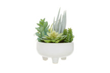 Fiori Mixed Succulents In Lrg Wht Ceramic Pot