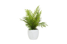 Fiori Fern In Wht Ceramic Face Pot