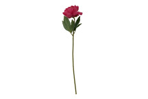 Fiori 65cm Peony Stem Fuschia - Pink