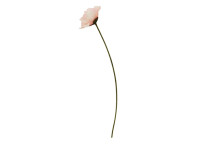 Fiori 64cm Poppy Stem - Light Pink