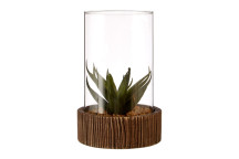 Large Succulent - Natural Stone Base