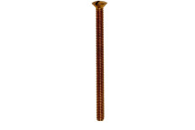 Brass Socket Screws 2\" (4)