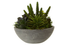 Fiori Mixed Succulent - Stone Effect Pot