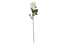 White Rose Stem