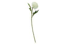Fiori 82cm Chrysanthemum - Stem White
