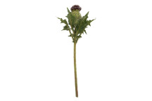 Fiori 56cm Thistle Stem - Purple/Green