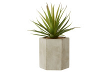 Fiori Sword Grass - Ceramic Pot Grey