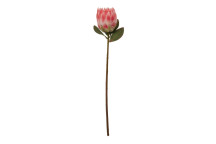 Fiori 62cm Protea Stem - Pink