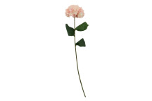 Fiori 74cm Hydrangea Stem - Pink