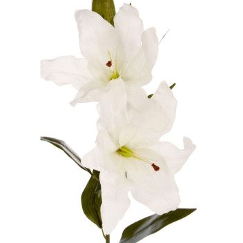 Cream Lily Stem