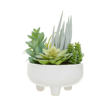 Fiori Mixed Succulents In Lrg Wht Ceramic Pot