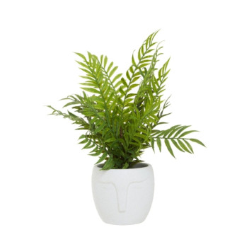 Fiori Fern In Wht Ceramic Face Pot
