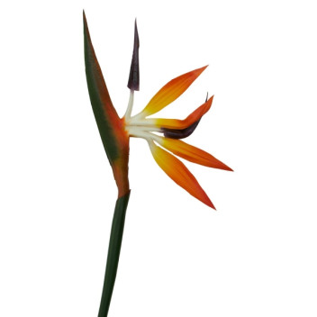 Fiori 92cm Bird Of Paradise - Spray Orange