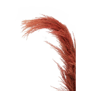 Fiori 116.84cm Pampas Grass Stem Orange
