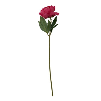 Fiori 65cm Peony Stem Fuschia - Pink