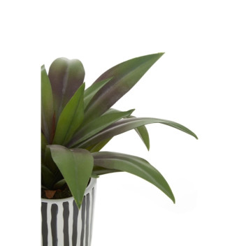Fiori Agave In Blk/Wht Stripe Ceramic Pot