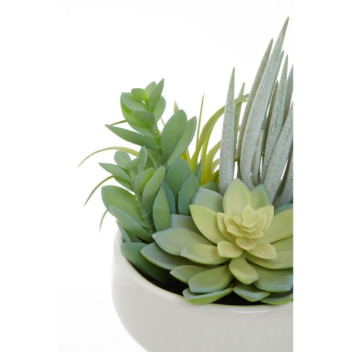 Fiori Mixed Succulents In Lrg Wht Ceramic Pot