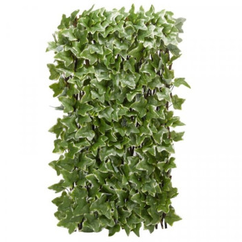 Ivy Leaf Trellis 180 X 60