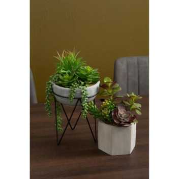 Fiori Mixed Succulent - Ceramic Pot Grey