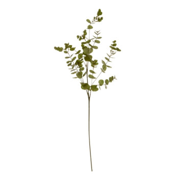 Green Eucalyptus Spray