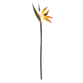 Fiori 92cm Bird Of Paradise - Spray Orange