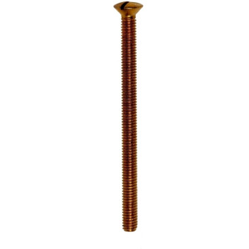 Brass Socket Screws 2\" (4)