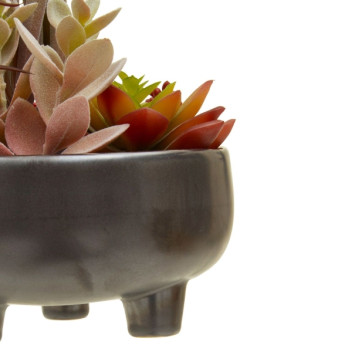 Fiori Mixed Succulents In Lrg Gry Ceramic Pot