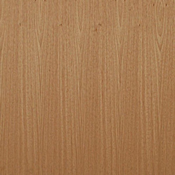 Flush Door  6/8 X 2/8