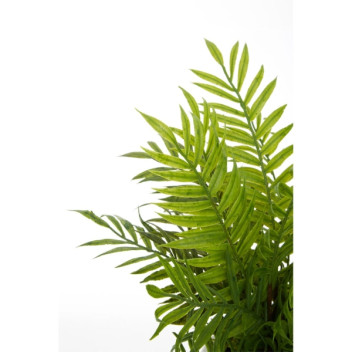 Fiori Fern In Wht Ceramic Face Pot