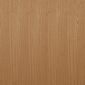 Flush Door  6/6 X 2/6