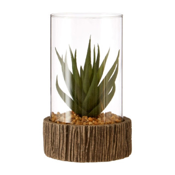 Small Succulent - Natural Stone Base