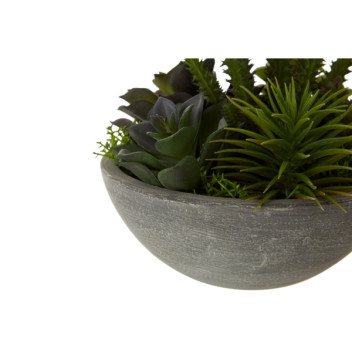 Fiori Mixed Succulent - Stone Effect Pot