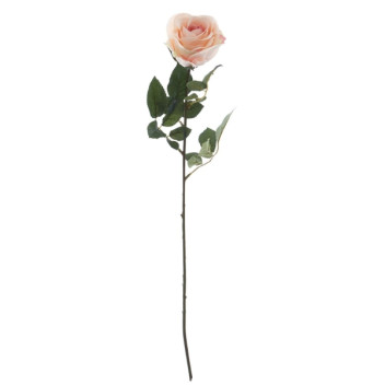 Pink Rose Stem
