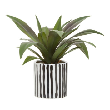 Fiori Agave In Blk/Wht Stripe Ceramic Pot
