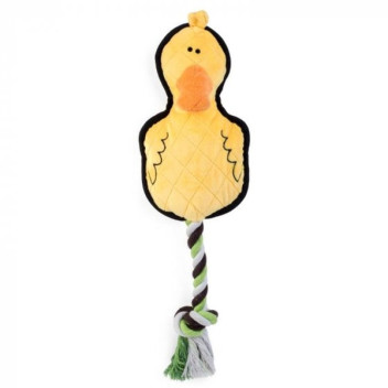 Fetch-A-Duck