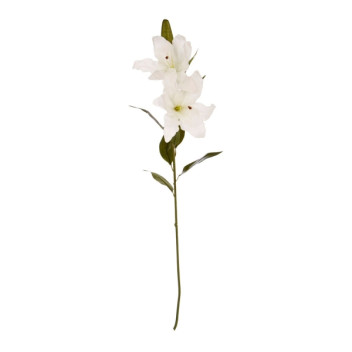 Cream Lily Stem