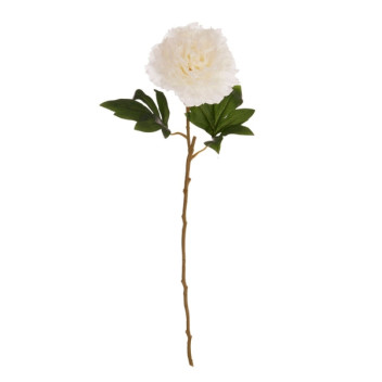 White Peony Stem - Open Ruffled Bloom