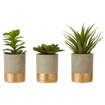 Fiori Set of 3 Succulents - Ceramic Pot, Grey/ Gold