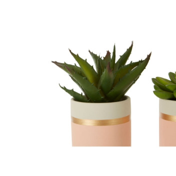 Fiori Set of 3 Succulents - Lotus/aloe Vera/ Ceramic Pot, Pink/gold