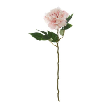 Pink Peony Stem - Open Ruffled Bloom