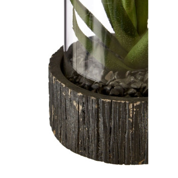 Small Succulent - Black Stone Base