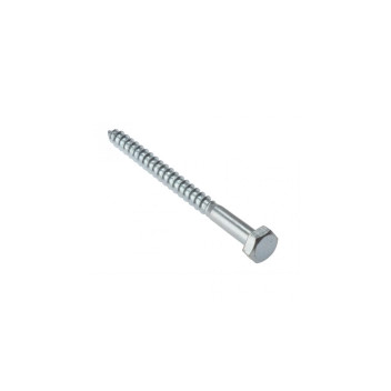 Coach Screw Zp M10X100 Bag 10
