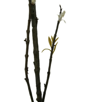 Fiori 96cm Pussy Willow Spray - White