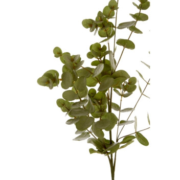 Green Eucalyptus Spray