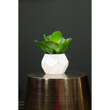 Fiori Succulent - White Cement Pot