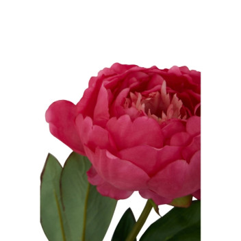Fiori 65cm Peony Stem Fuschia - Pink